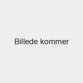 T�NDER FESTIVAL SHOP