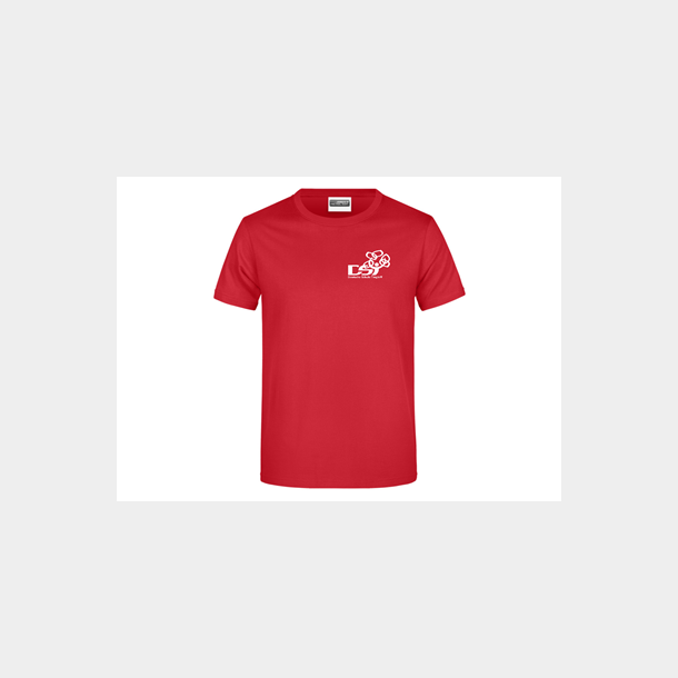 DST logo T-shirt