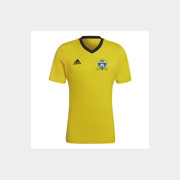 Adidas Entrada T-Shirt Gul