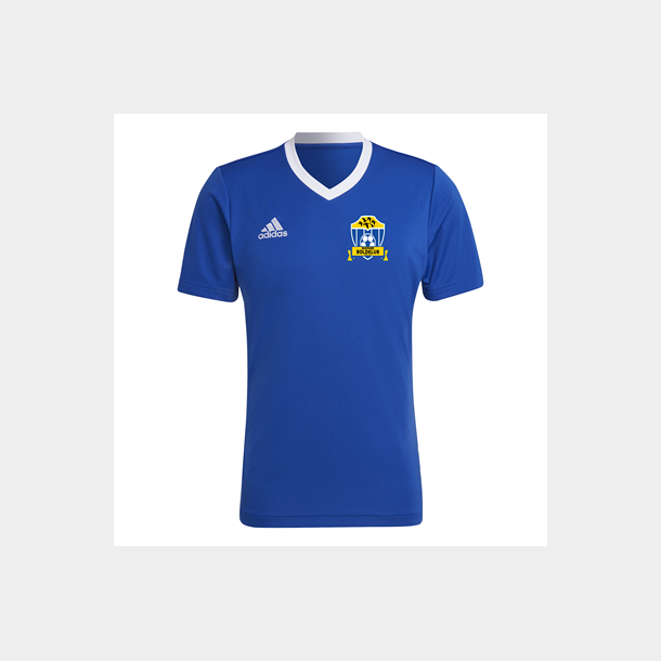Adidas Entrada T-Shirt Royal Blue