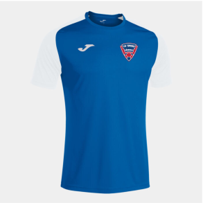 Joma Academy Tr�nings tee - Bl�